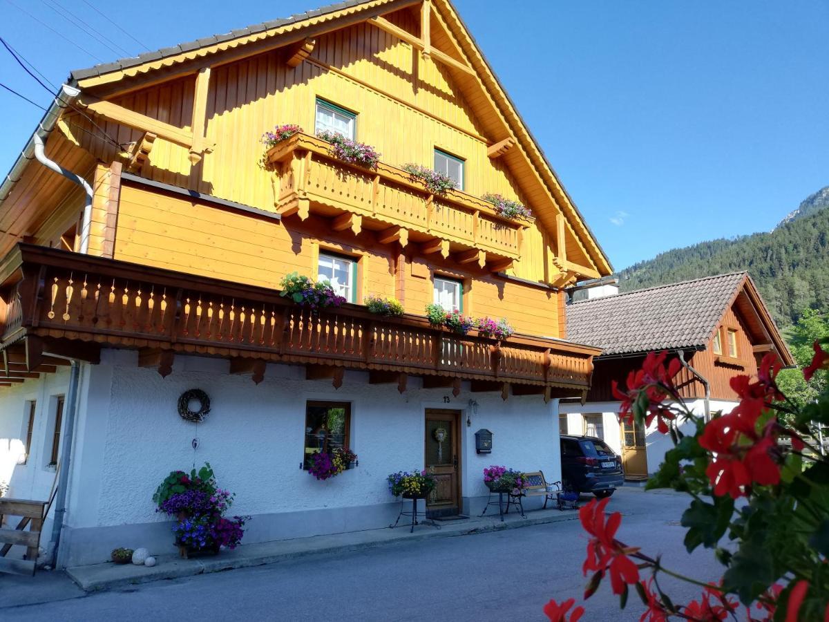 Apartment Natur Herz Haus im Ennstal Exterior foto
