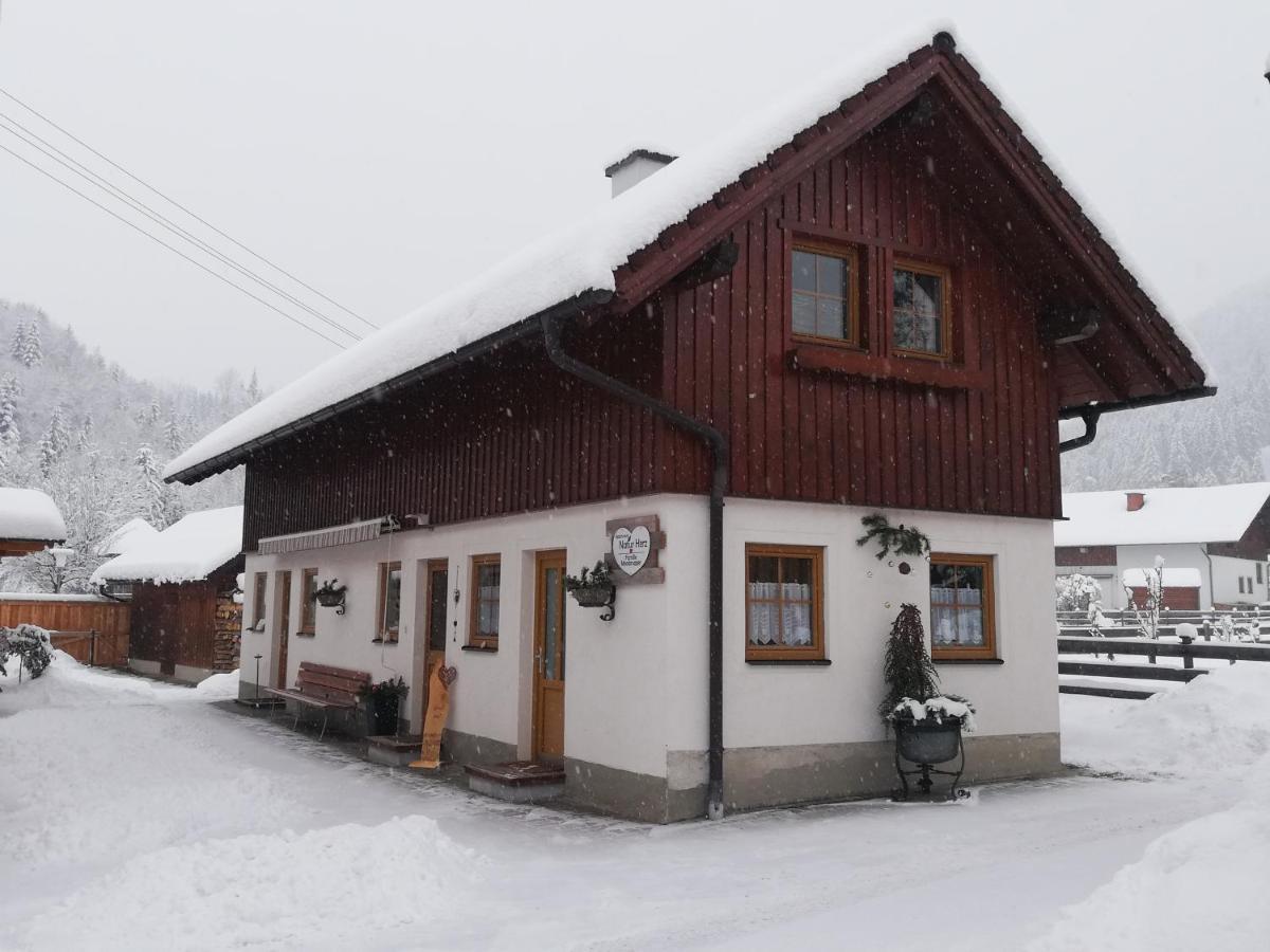 Apartment Natur Herz Haus im Ennstal Exterior foto